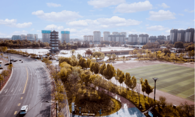 落叶缓扫 留住街头最美景色
